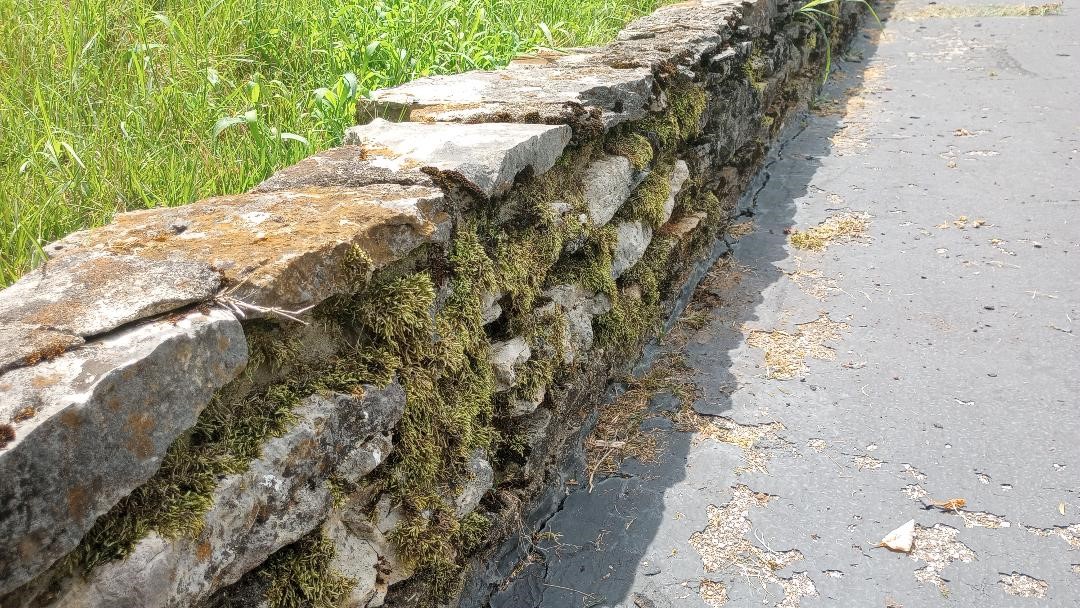 RETAINING WALL CLEANING IN COLUMBIA, TN